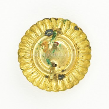 Unknown Lithuanian cap cockade with Vytis Lithuania