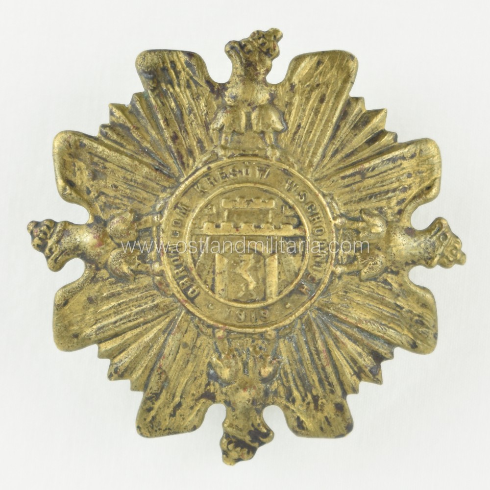 Eaglets Badge of Honour, 1919, Poland Other countries