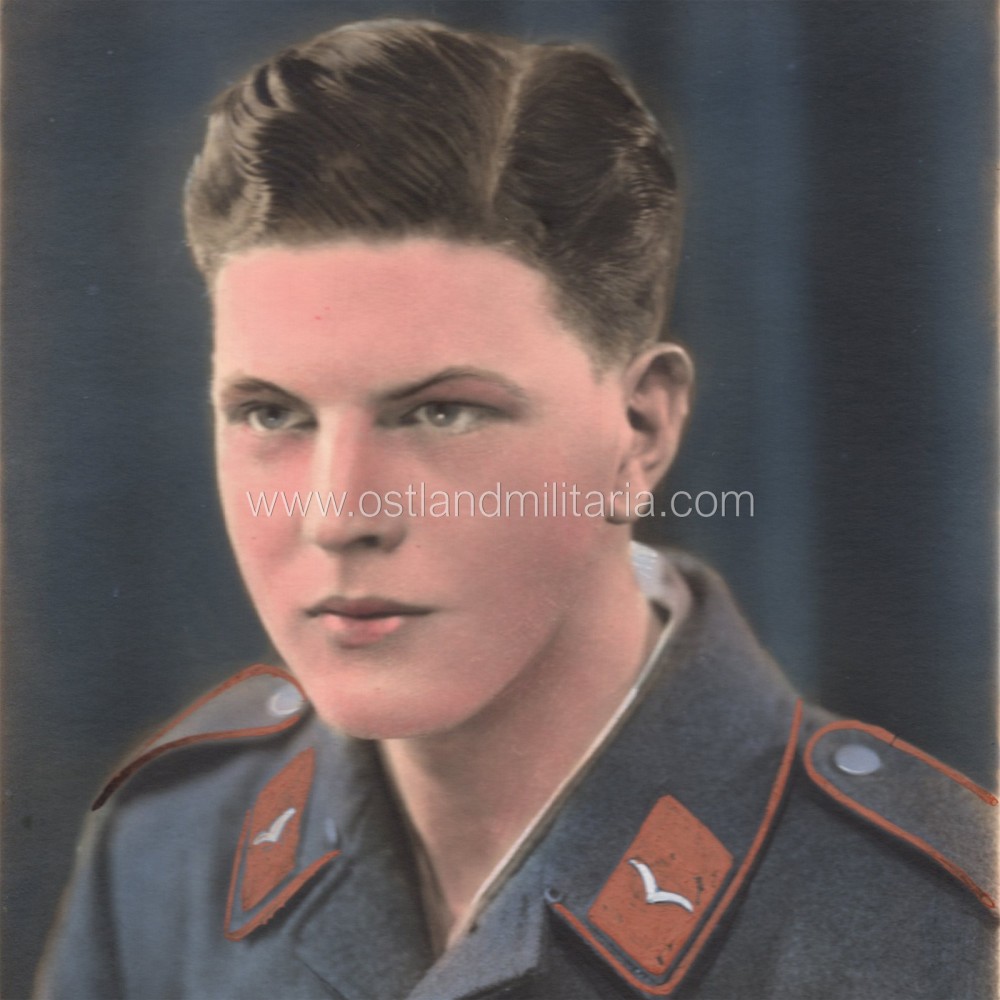 Portrait photo of Luftwaffe Flak private, colored Germany 1933–1945